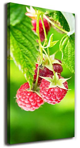 Tulup - Framed Canvas Print - 70x140 cm - Wall Art - Art print Images - Picture - Home Decor Interior - Painting - for Living Room Bedroom, Kitchen - Red - Raspberries on the bush