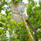 Obstpflücker mit teleskopstange 2-7M Kirschenpflücker Pflaumenpflücker Obstpflückstange für Früchte von Hochgelegenen Orten Pflücken (Color : B, Size : 2m(6.6ft))