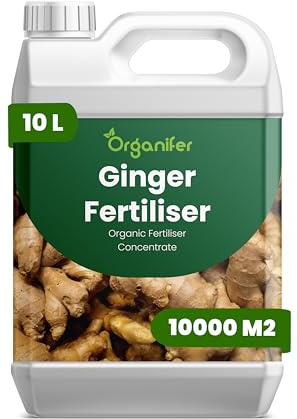 Organiskt flytande gödsel 10L för Ingefära – stimulerar rötter och vitalitet - Organifer