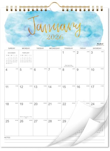 2026 Wall Calendar - Hanging Wall Calendar 2026 from January 2026 - December 2026, 11.4 x 14.6, Twin-Wire Binding, Large Blocks with Julian Dates, Perfect for Planning