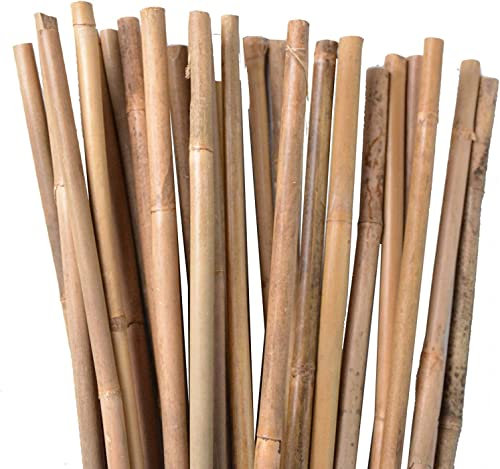 Suinga Lot de 25 Tuteur en Bambou 100 cm, 8-10 mm, Tubes en Bambou pour Plantes et Arbres, Baguettes de Bambou, Canne de Bambou, Tuteur, Tiges de Bambou, Supports pour Arbres