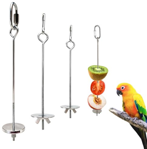 3 Pezzi Spiedino Portafrutta per Pappagalli, Mangiatoia per Pappagalli, mangiatoie per uccelli appendere in acciaio inossidabile, cesto per cibo uccelli per frutta verdura grano grano
