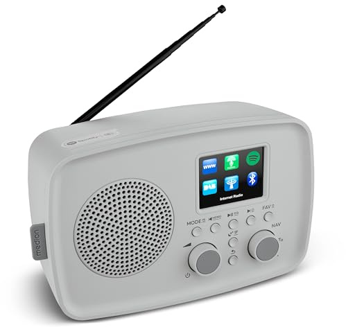 MEDION Radio Internet avec Dab+ IRE-1 (Dab+, Wi-FI, FM, Bluetooth, étanche, antenne télescopique, Spotify Connect, réveil, minuterie, dimmer) Gris