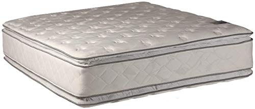 Dream Solutions USA DS USA Serenity Pillow Top - Medium Soft Eurotop Mattress Only - Double-Sided, Spinal Support System, Fully Assembled, Luxury Quality, Orthopedic Type (Queen 60x80x12)
