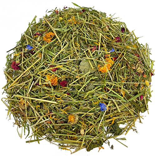 Reptile World Tortoise Edible Bedding 100g | Dried Readi Grass, Flowers & Leaves, Botanical Bedding Food