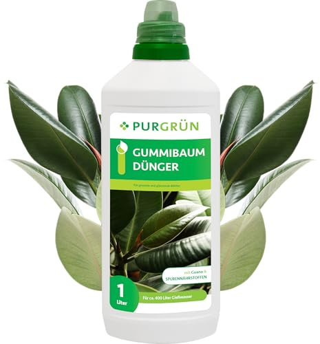 Purgrün® Gummibaum-Dünger 1 Liter – Glänzende Blätter und gesundes Wachstum dank Guano – Vollumfängliche Versorgung mit Spurennährstoffen – Ergiebiges Konzentrat für ca 400 Liter Gießwasser