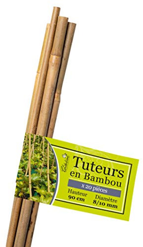 La cordeline LTB90-20 Canna di bambù, Naturale