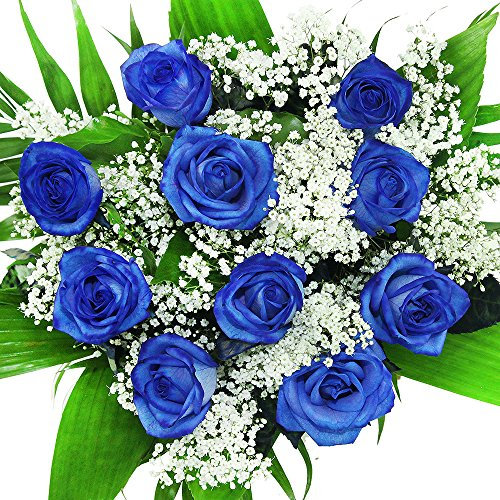 Großer Blumenstrauß - 10 blaue Rosen und Schleierkraut - Rosenstrauß inklusive gratis Grußkarte