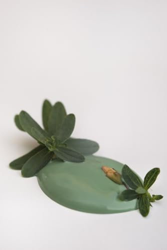 Vintage Paint Pintura a la tiza, 700 ml, pintura tiza ecológica, soluble en agua, opaca, para muebles infantiles, pintura a la tiza para muebles, pintura para muebles, color shabby chic (verde