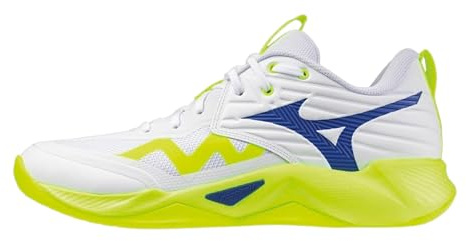 Mizuno Wave Momentum Pro Inomhusskor för män