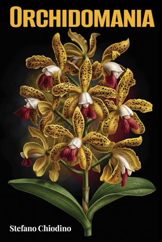 Orchidomania: Orchid Deception By Design