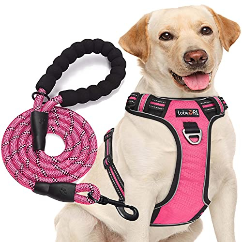 tobeDRI No Pull Dog Harness Adjustable Reflective Oxford Easy Control Medium Large Dog Harness with A Free Heavy Duty 5ft Dog Leash, Pink, L