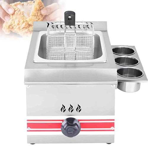 Professionell utomhus- och inomhusfritös gasfritös i rostfritt stål, justerbar eldkraft med korglock för hemmarestaurang, kycklingfritös 10L