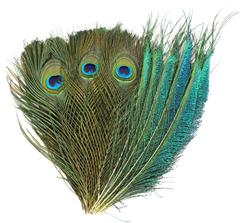 MWOOT 30 Stück Basteln Deko Pfauen Federn, Natur Pfauenfeder Schwanzfedern für Handarbeiten Verzierungen, Bastelfeder für Zeremonie Saisonale Dekoration Party Masken DIY Material Zubehör 25-30CM