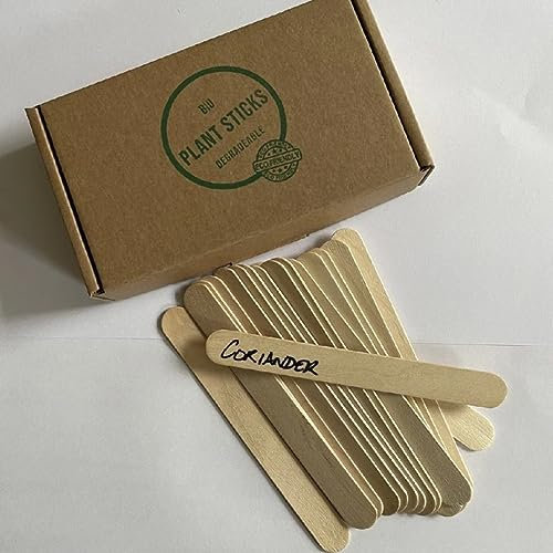 100 x Large Biodegradable Blank Wooden Seed, Herb and Plant Labels