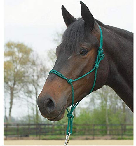 Busse Knotenhalfter Standard, Tanne, Pony/Vollblut