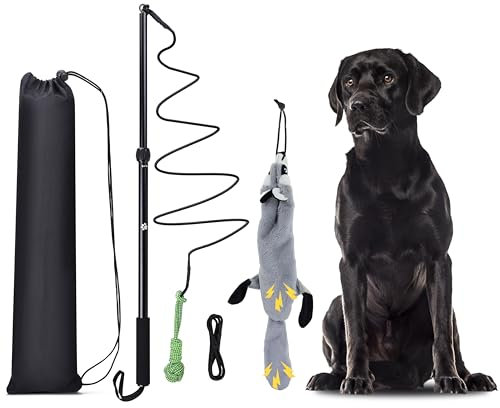 KOXXUD Reizangel Hunde, Profi Reizangel für Kleine, Mittelgroßer, Große Hunde für Ultimativen Spielspaß & Körperliche Auslastung （Seilbälle + Biber）