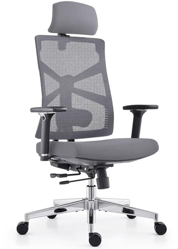 HOLLUDLE Silla de Oficina Ergonómica con Respaldo Adaptativo, Silla de Escritorio de Alto Respaldo con Reposabrazos 4D, Profundidad de Asiento Ajustable, Soporte Lumbar y Reposacabezas 2D, Negro y Gri