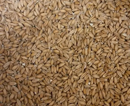 Unbekannt Articles au Kilo Grains d’épeautre, Dinkel, z. Recharge v. Oreiller épeautre ou Coussin réchauffant - 5kg