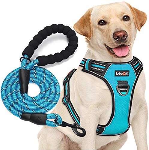 tobeDRI No Pull Dog Harness Adjustable Reflective Oxford Easy Control Medium Large Dog Harness with A Free Heavy Duty 5ft Dog Leash, Blue, L