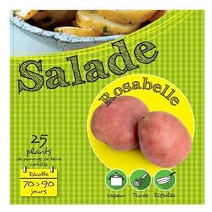 Rosabelle Rouge 25 Plants de pomme de terre