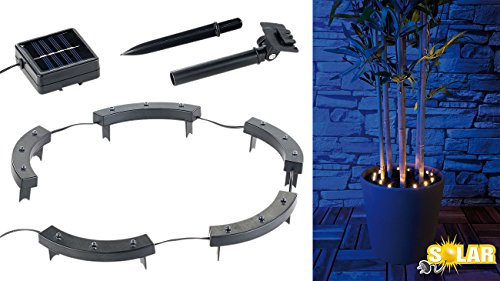 Lunartec Pflanzenstrahler Solar: Solar-Rundum-Licht für Pflanzen, 15 LEDs, Dämmerungssensor, IP44 (Blumentopf Beleuchtung Strahler, Pflanzenstrahler Outdoor, Tischleuchten)