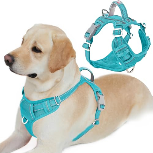 BARKBAY Arnés antitirones con Clip Frontal para Perro, Material Resistente y Reflectante, asa de fácil Control para pasear Perros Grandes, con Bolsillo para Etiqueta de identificación (Azul, L)