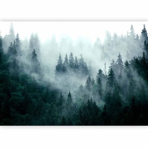 murando Photo Wallpaper Forest Fog 250x175 Centimetres | Non-woven Premium Art Print Fleece Wall Mural Decoration Poster Picture Design Modern Nature Landscape scandinavian
