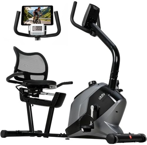 ISE Bicicletas Estáticas Reclinadas con 8 Niveles de Sistema magnético, Bicicleta Estática con Respaldo para Sensor de Pulso y Pedaleo silencioso,Ruedas de transporte,Cardio Training con casa