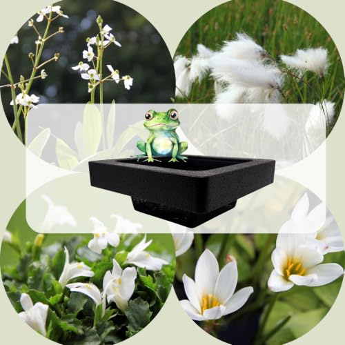 WASSERPFLANZEN WOLFF - FROG-ISLAND weiß - SCHWIMMINSEL inklusive Pflanzen - REIHERSCHUTZ - 4er-Mix mit Pflanzinsel - QUALITÄTSSTAUDEN im Pflanzkorb - Frosch-Insel für Gartenteich