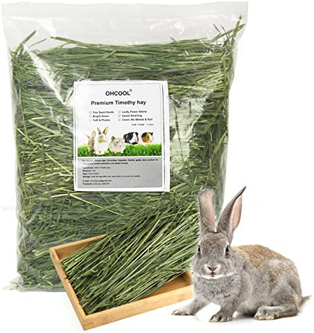 Ohcool Timothy Hay 1.1LB - Dust Free Natural Green Fresh Food Hay for Rabbits Tortoise Guinea Pig Chinchilla