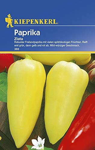 Paprikasamen - Paprika Zlata von Kiepenkerl