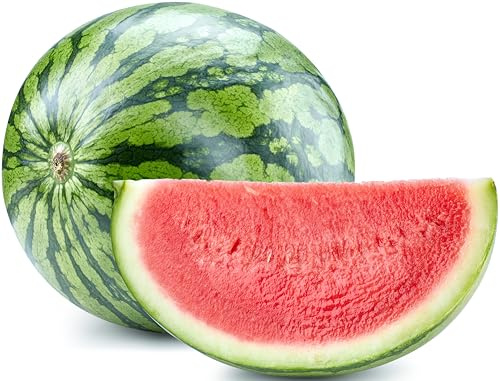 50 Sugar Baby Watermelon Seeds for Planting - Heirloom Non-GMO USA Grown Premium Fruit Seeds for Planting a Home Garden - Small Watermelon Citrullus Lanatus by RDR Seeds