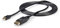 StarTech.com 3m Mini DisplayPort auf DisplayPort 1.2 Kabel - 4K x 2K UHD Mini DisplayPort auf DisplayPort Adapter Kabel - Mini DP auf DP Monitorkabel - mDP auf DP Konverterkabel (MDP2DPMM10)