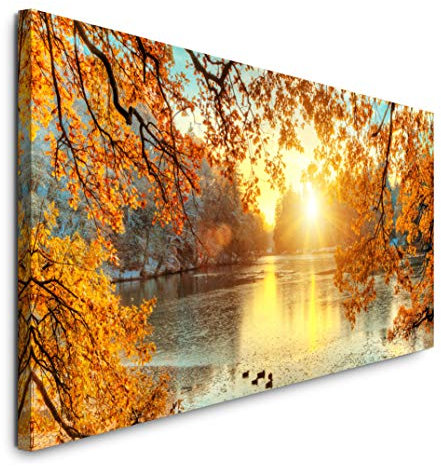 Paul Sinus Art GmbH schöne Bunte Bäume 120x 50cm Panorama Leinwand Bild XXL Format Wandbilder Wohnzimmer Wohnung Deko Kunstdrucke