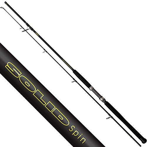 Black Cat Premium Welsrute Solid Spin Vollcarbon-Angelrute mit 30 Tonnen Blank Spinnfischen auf Wels Wallerrute Spinnrute, Schwarz, 2,40 m