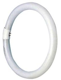 Glowster Tube fluorescent circulaire 22 W, haute efficacité énergétique, lumière vive, idéal pour l'éclairage des espaces commerciaux et domestiques.