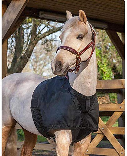 LeMieux Anti Rub Bib in Black with Elastic Belly Straps - Horse Wither Protection - Perfect Fit Chest Guard - Medium