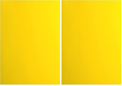 Florence Papier Cartonné Jaune Lisse - A4 - Lemon Yellow - 10 feuilles - 216 g/m² - Papier pour Scrapbooking, Carterie, Perforation et Faire Part de Mariage (Lot de 2)