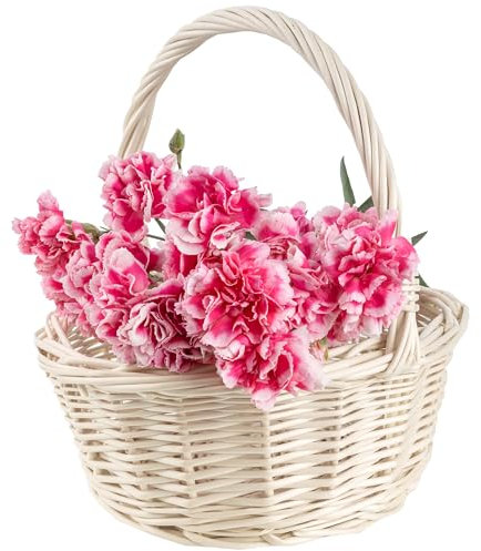 Creative Home Petit Panier de Pâques en Osier Blanc | 22 x 22 x 26 cm (+/- 2 cm) | Panier avec anse | Tissé à la main | Panier cadeau | Panier fruits