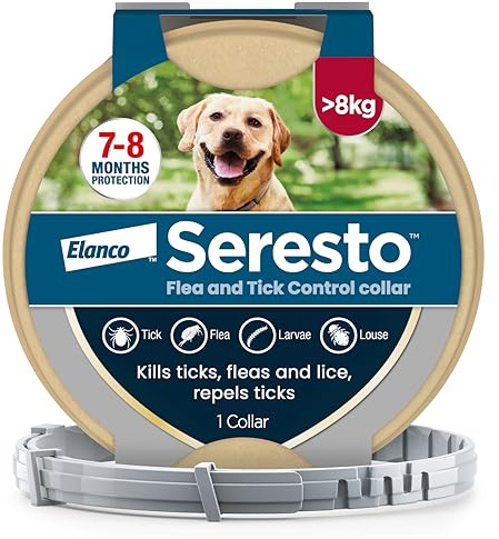 Seresto Flea and Tick Control Collar For Dogs Over 8kg (1 Collar), Long-Lasting & Simple Treatment For Dogs, 7-8 Months Of Protection, Keeps Pets Protected From Fleas & Ticks