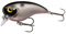 Berkley Pulse Biggie Crankbait Köder | Schwimmender, flach tauchender Crankbait für Hechte, Barsche, Zander und Bass | Hartköder für das Angeln auf Raubfische im Süßwasser | 6 cm, Fegis