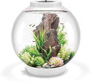 biOrb 72013 CLASSIC 60 LED, 60 L, weiß - Acryl-Aquarium in Kugelform, Komplett-Set mit patentiertem Filtersystem, LED-Beleuchtung