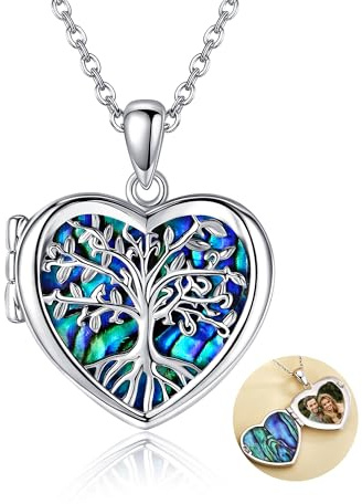 TTDGYYXW Collar con medallón Collar con medallón de abulón en Forma de corazón Que Contiene imágenes