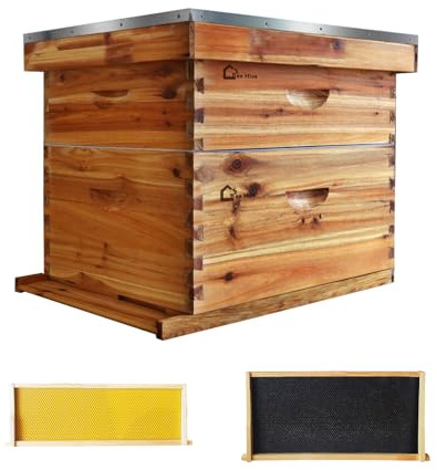 Garvee Colmena de Madera de Cedro Tradicional, Incluye 1 Cámara de Cría Profunda y 1 Alza Media, Tamaño 50x41 cm, Modelo Sin Ventana, Acabado Madera Natural de Alta Resistencia para Climas Exteriores