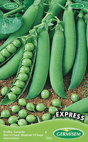 Germisem Express Semillas de Guisantes 100 g