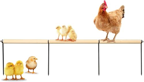 Juguetes Extra Largos para Perchas de Gallinas, Soporte de Madera con Clavija Metálica para Suelo, Plataforma de Entrenamiento Exterior, Accesorios para Gallinero y Aves Grandes