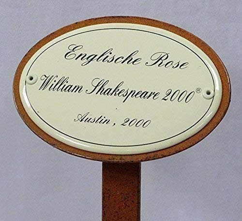linoows Rosenschild Rosenstecker Emaille, Englische Rose William Shakespeare, Austin 2000