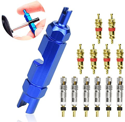 WANTOUTH 13Pcs Valve Core Remover Tool Kit with Brass Replacement Presta and Schrader Valve Core Repair Tool for Universal Road Bike and Car