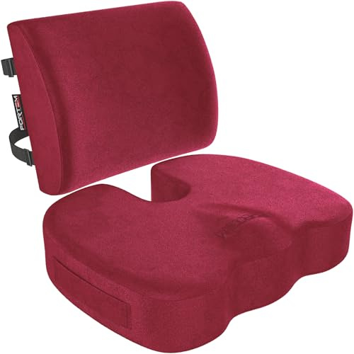 FORTEM Office Chair Cushion and Back Support for Office Chair, Lumbar Support Pillow, Memory Foam, Non Slip Sitting and Back Rest for Gaming, Car Seat Cushion, Chair Pad, XL